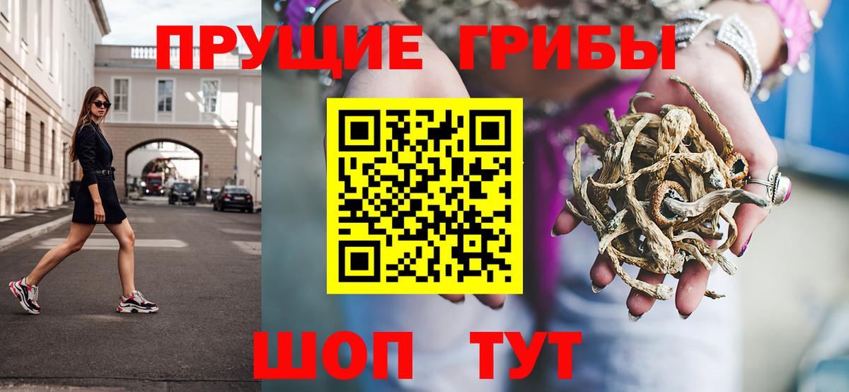 Галлюциногенные грибы GOLDEN TEACHER  Галлюциногенные грибы мицелий  Вход с VPN  Сунжа 